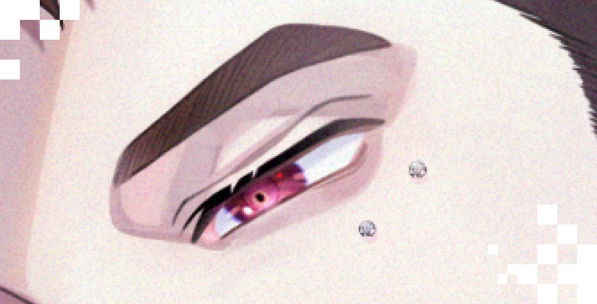 SOYOGU SHINKAI